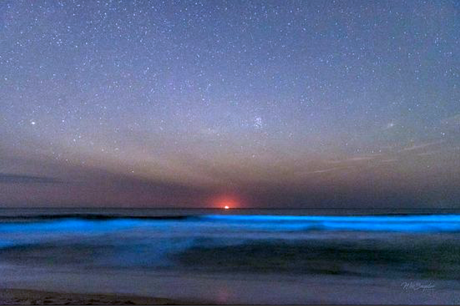 Where To See Bioluminescent Waves In Long Beach