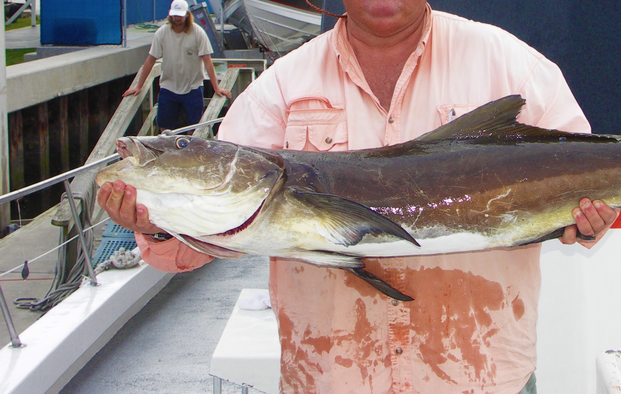 Economic Impact Of Fishing Huge Report Says - Texas Fish & Game