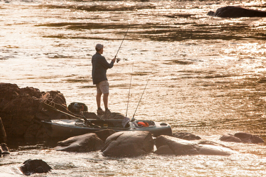 Where Do Large NC Striped Bass Spend Their Summers? Hook, Line and