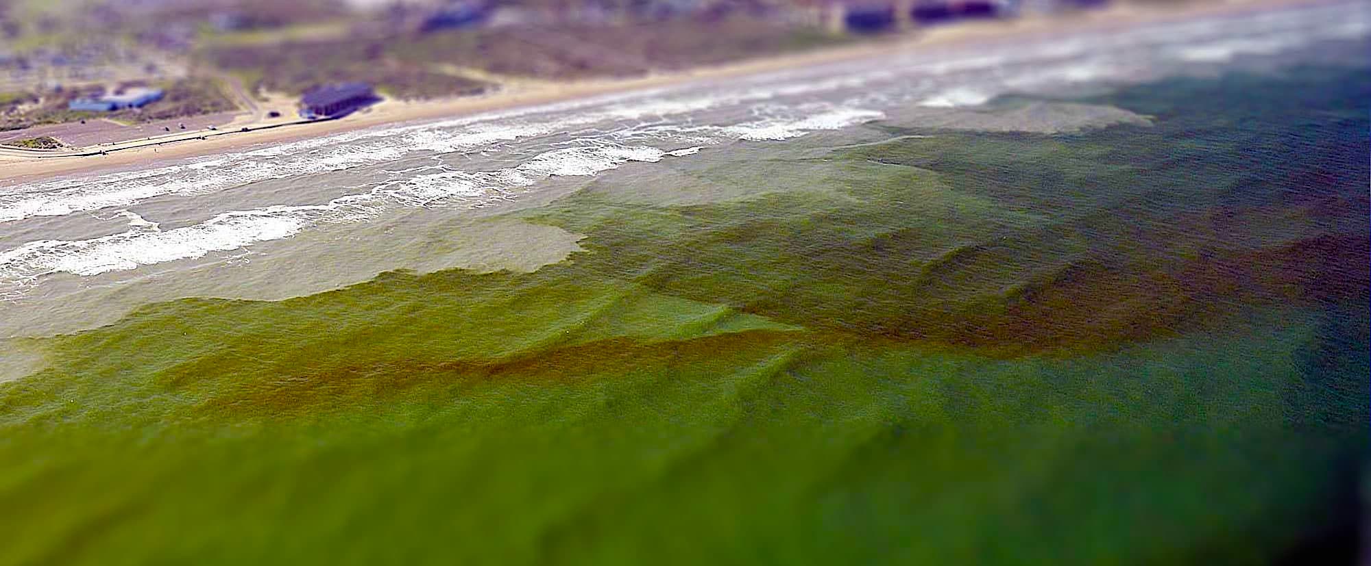 image: Gulf Coast red tide. Credit: NOAA.