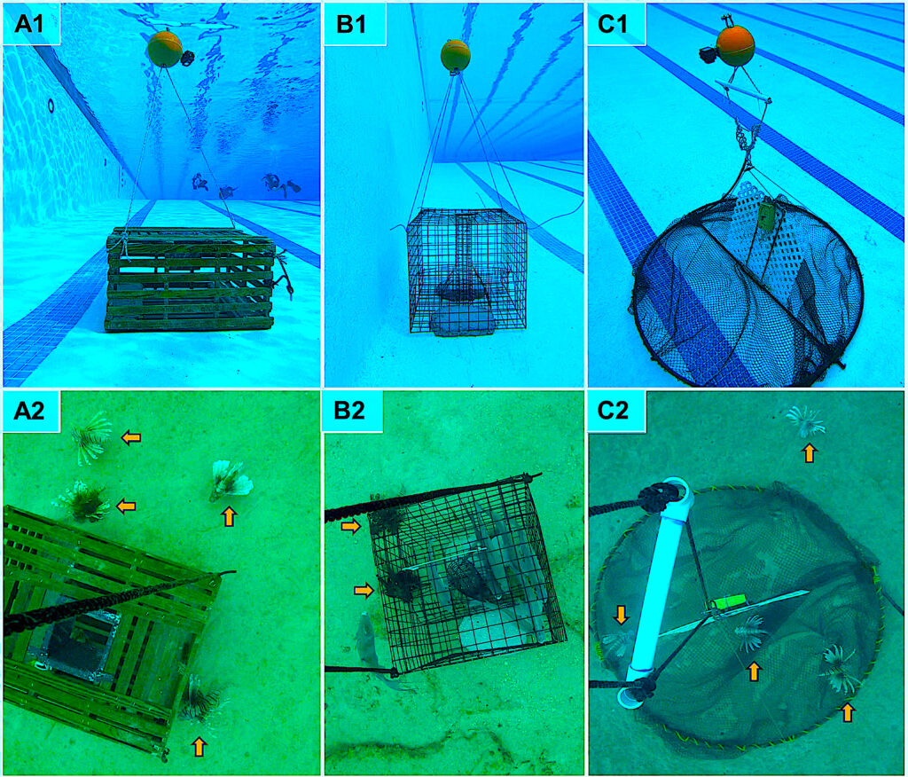image: 3 different types of lion fish trap.