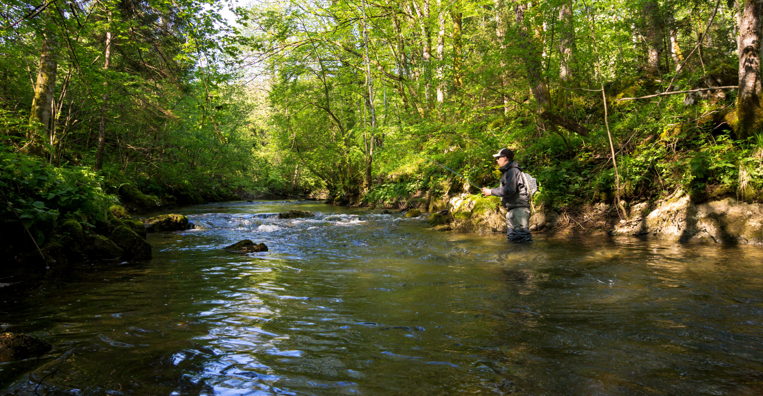 image: stream fishing.