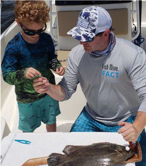 Chris Kalinowsky and son tag a tripletail with an electronic tag.
