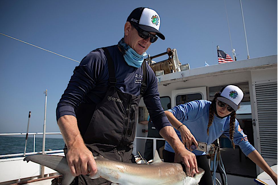 Dr. Joel Fodrie handles a juvenile dusky shark while research technician Holly Doerr records photos and data. Credit: M. May.