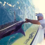 Image: NOAA scientists tag and measure a blue marlin.