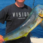 dolphinfish, caught off Hatteras.
