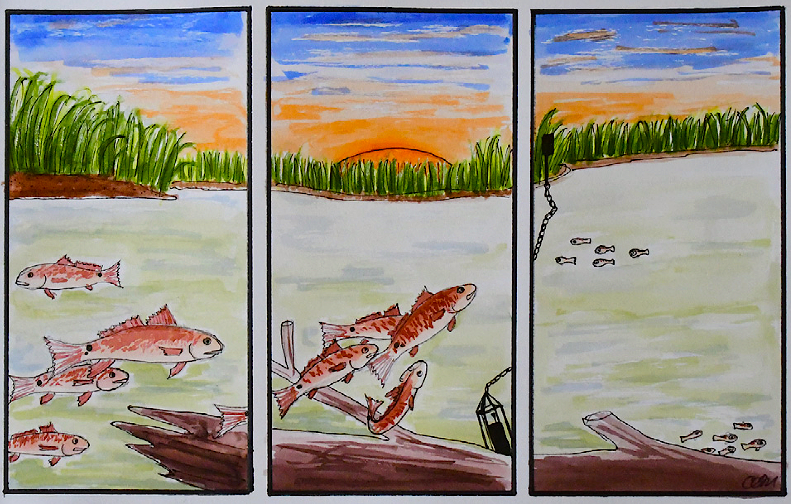 illustration: Passive acoustic recorders and seining were used to investigate long-term patterns of fish courtship sounds and their relationship to young-of-the-year appearance and abundance, credit: Claire Mueller.
