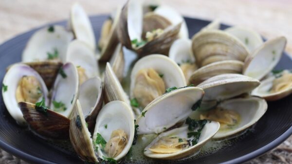 Steamed Clams in Wine Broth. Photo by Vanda Lewis