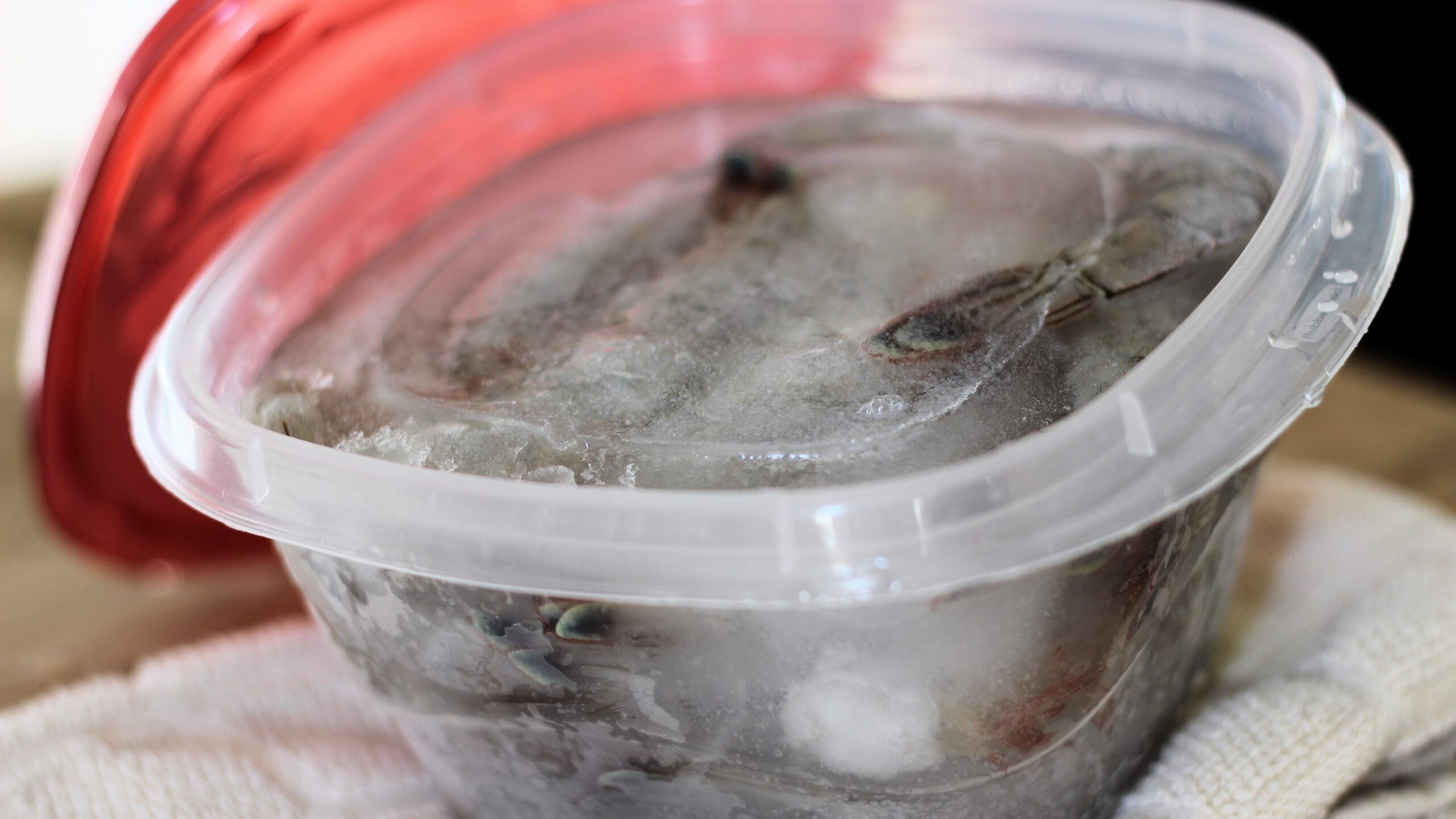 Read This Before Storing Your Food In A Plastic Container