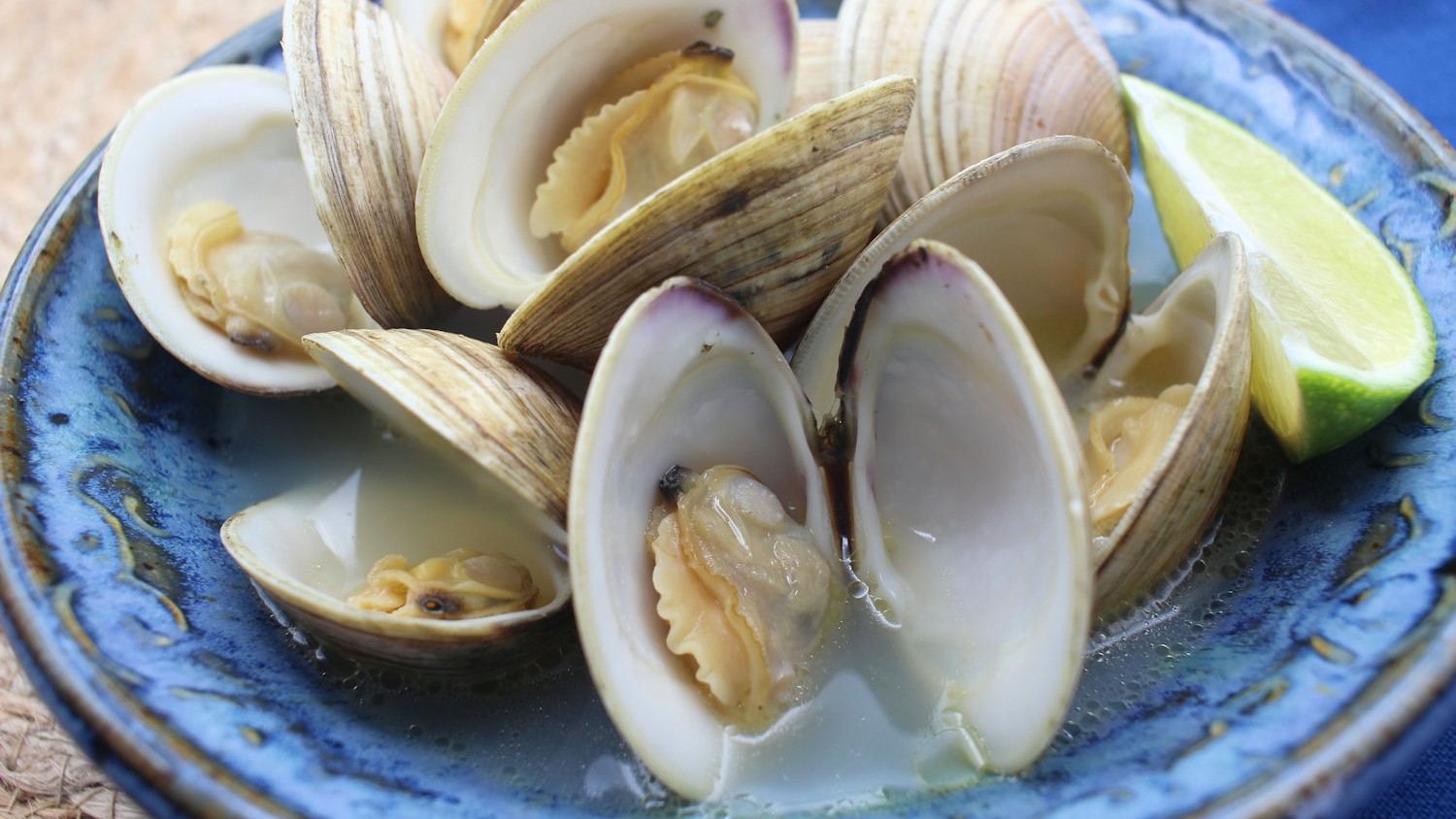 image: steamed clams in wine broth.