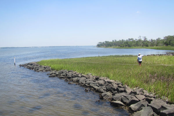 Pine Knoll Shores Aquarium rock sill