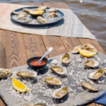 N.C. oysters on the half shell. Photo by Justin Kase Conder.
