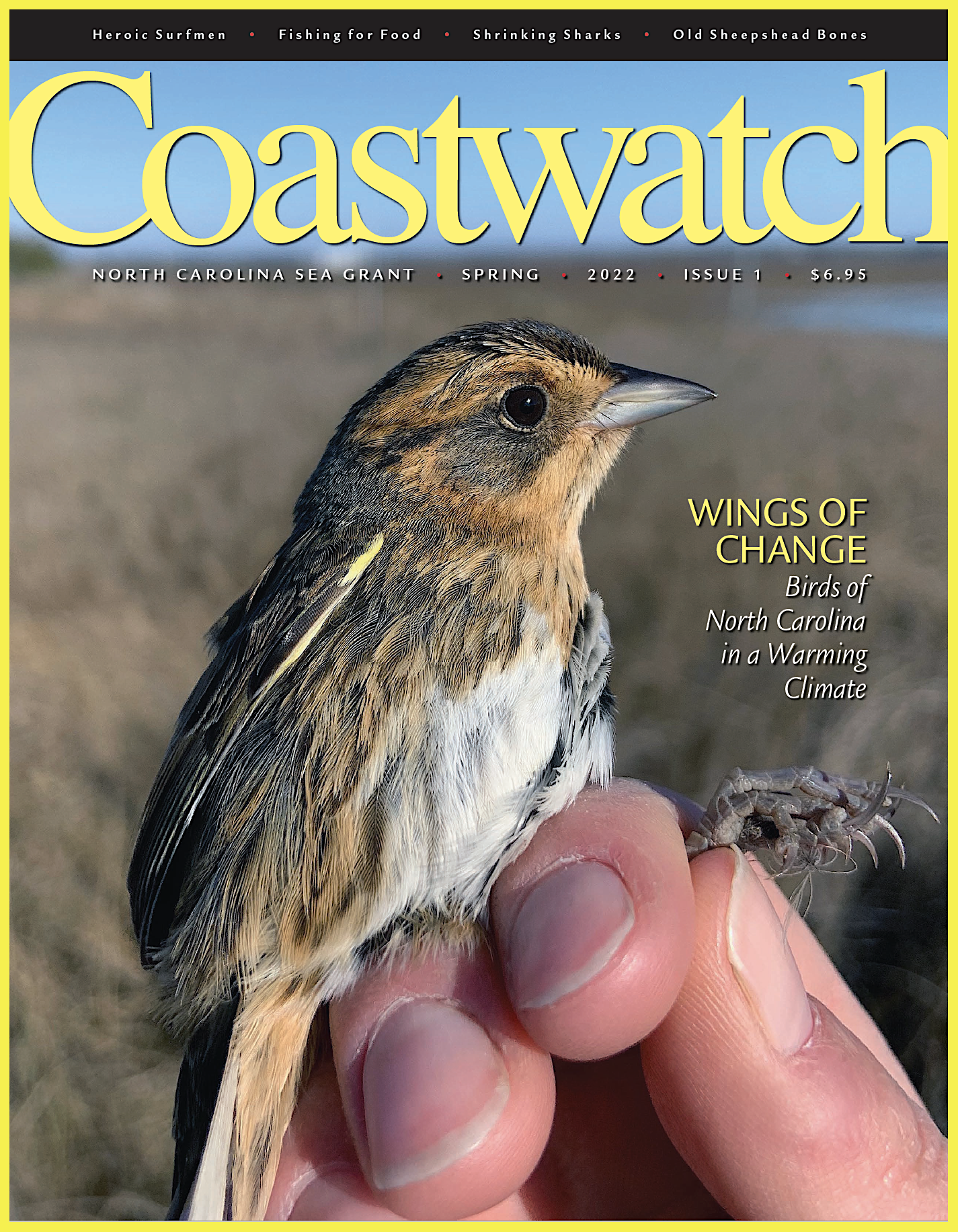 image: Coastwatch cover.