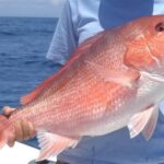 an angler holding a red snapper on a boat
