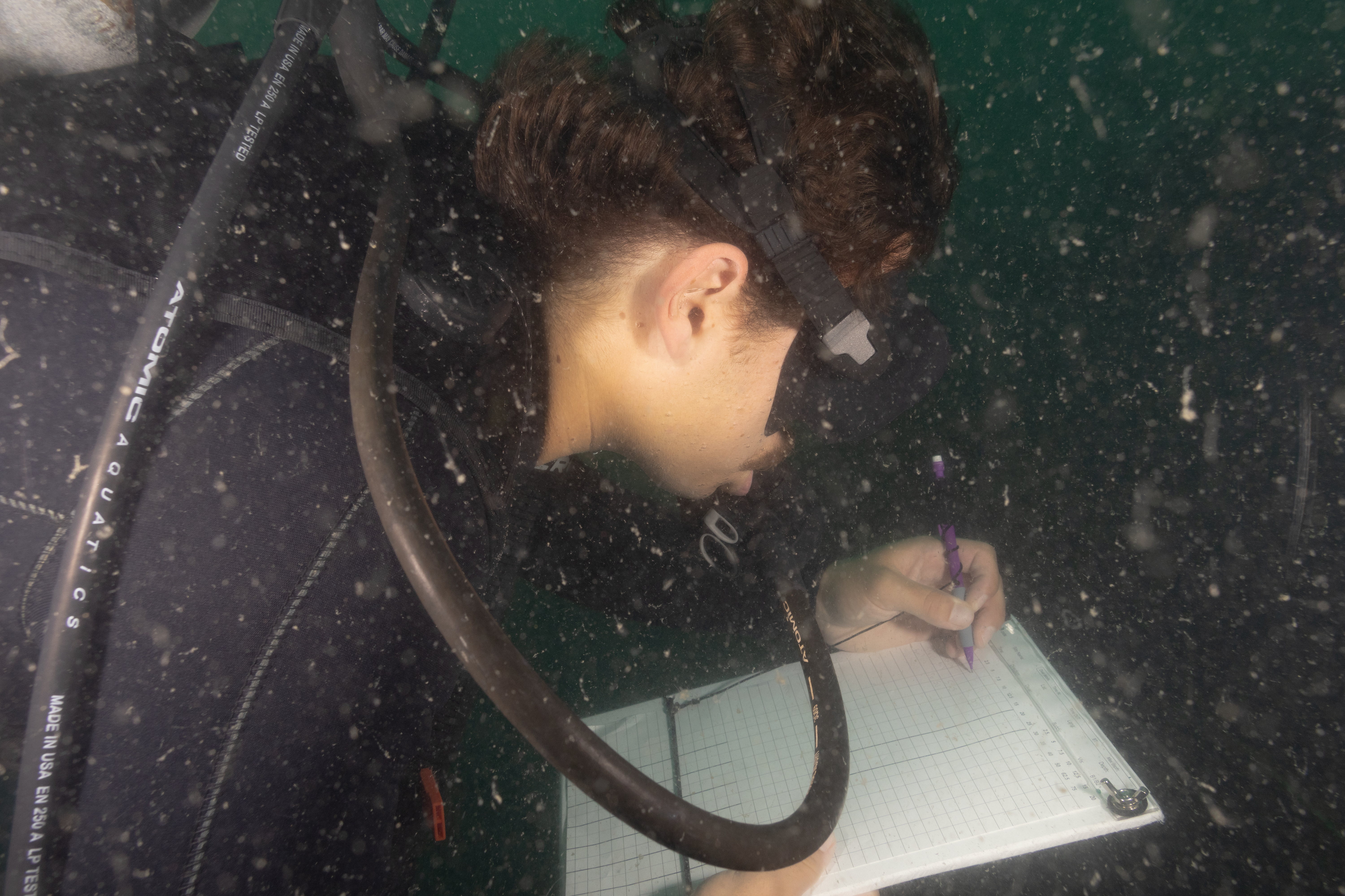 A man is underwater in scuba gear and writing down information