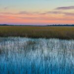 Marsh at sunset. Sky appears in bands of pink, blue, and purple. Green marsh grass in the middle, and blue water at the bottom, with reflections of marsh grass.