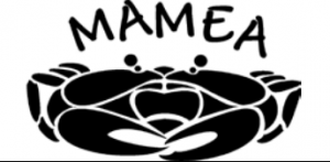 MAMEA logo