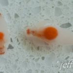 Close up of transluscent and orange creature