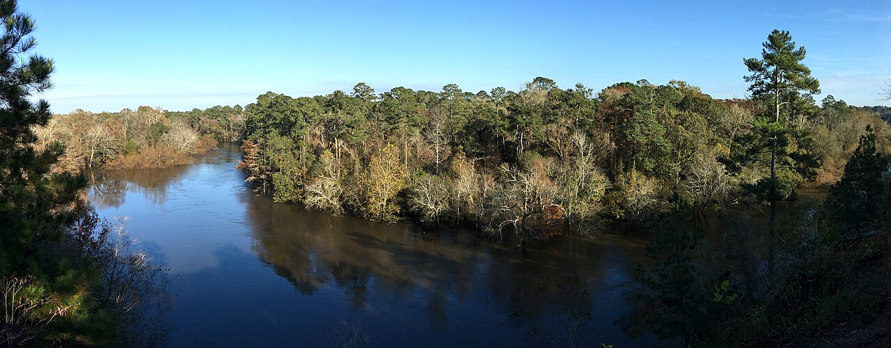 View across the Neuse River from the overlook in Cliffs of the Neuse State Park, North Carolina