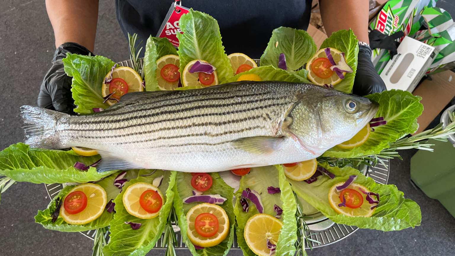 a full striped bass on a platter and garnished with lettuce, tomatoes, and citrus 