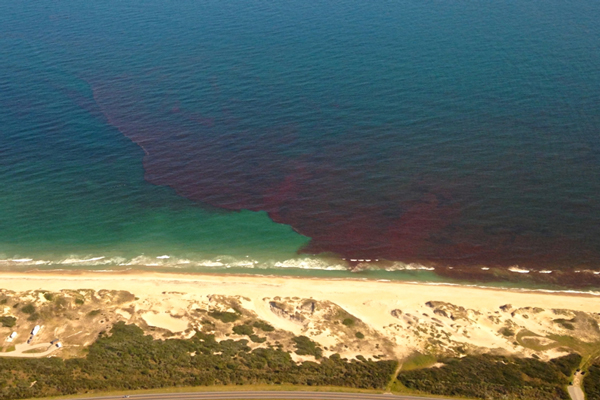 Aerial image of red tide off Buxton coastline.
