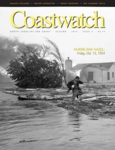 Coastwatch Autumn 2014 issue cover