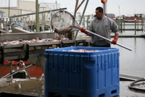 Man with net and fish