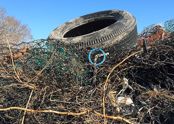 Pile of trash, including tire and crab pots.