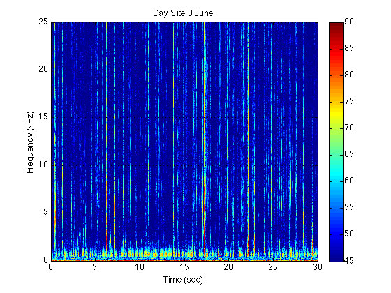 Spectrogram of sounds of shrimp and fish at a site.