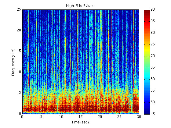 Spectrogram of sounds of fish at a site.