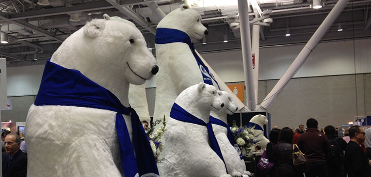 A row of polar bear statues wearing scarves.