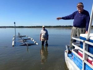 John Holbrook, Tim's father, and friend "Oyster Al" Smeilus stand near oyster nursary bags in the water.