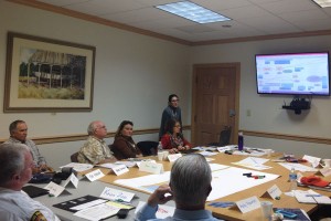 Lisa Schiavinato leads a group through the VCAPS diagramming process. Photo by Amanda Brennan