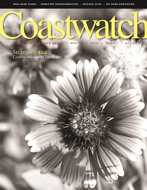 Coastwatch Winter 2016