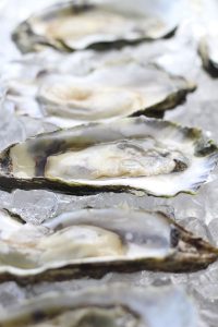 Opened oysters on ice