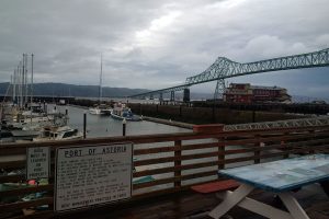 Waterfront view with bridge and boats