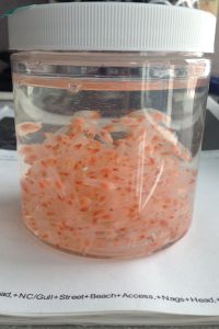 Naked sea butterflies that look like orange dots in a jar