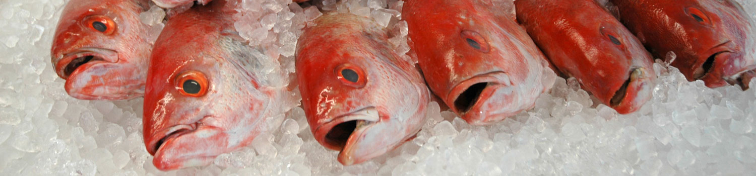 Row of red fish on ice at the fish market