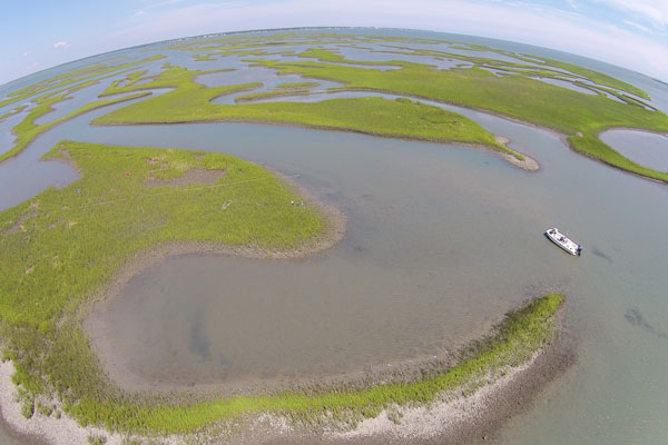 Aerial view of Middle Marsh