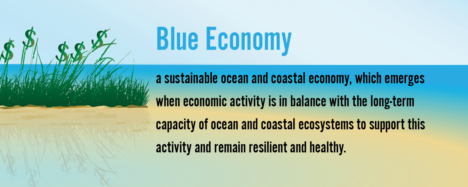 Blue Economy Definition
