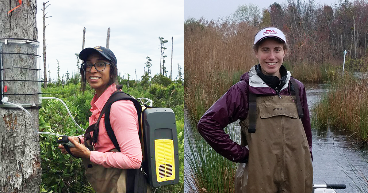 Melinda Martinez and Emily Ury take measurements in coastal wetlands