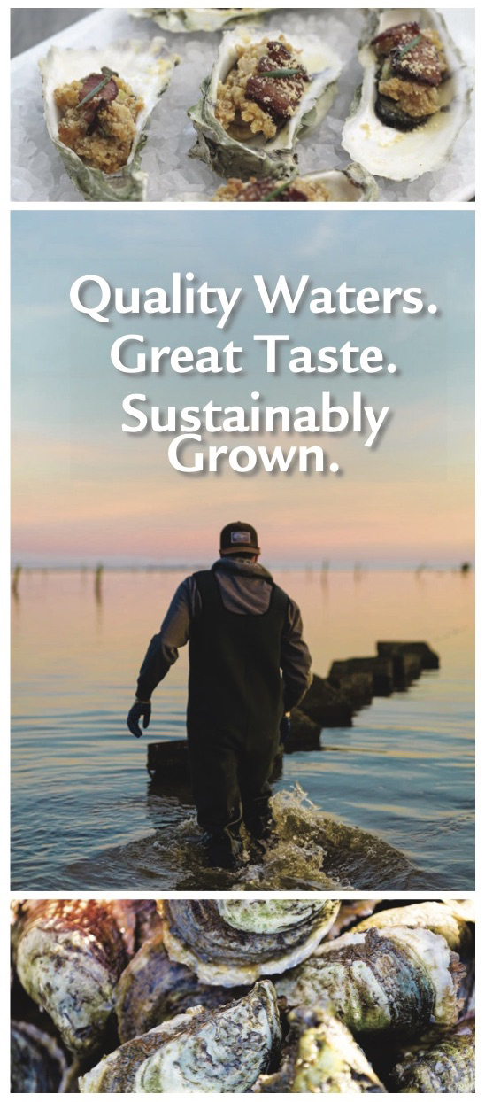 This educational brochure spotlights N.C. cultured shellfish. Order your copy by contacting communications director Katie Mosher at kmosher@ncsu.edu.