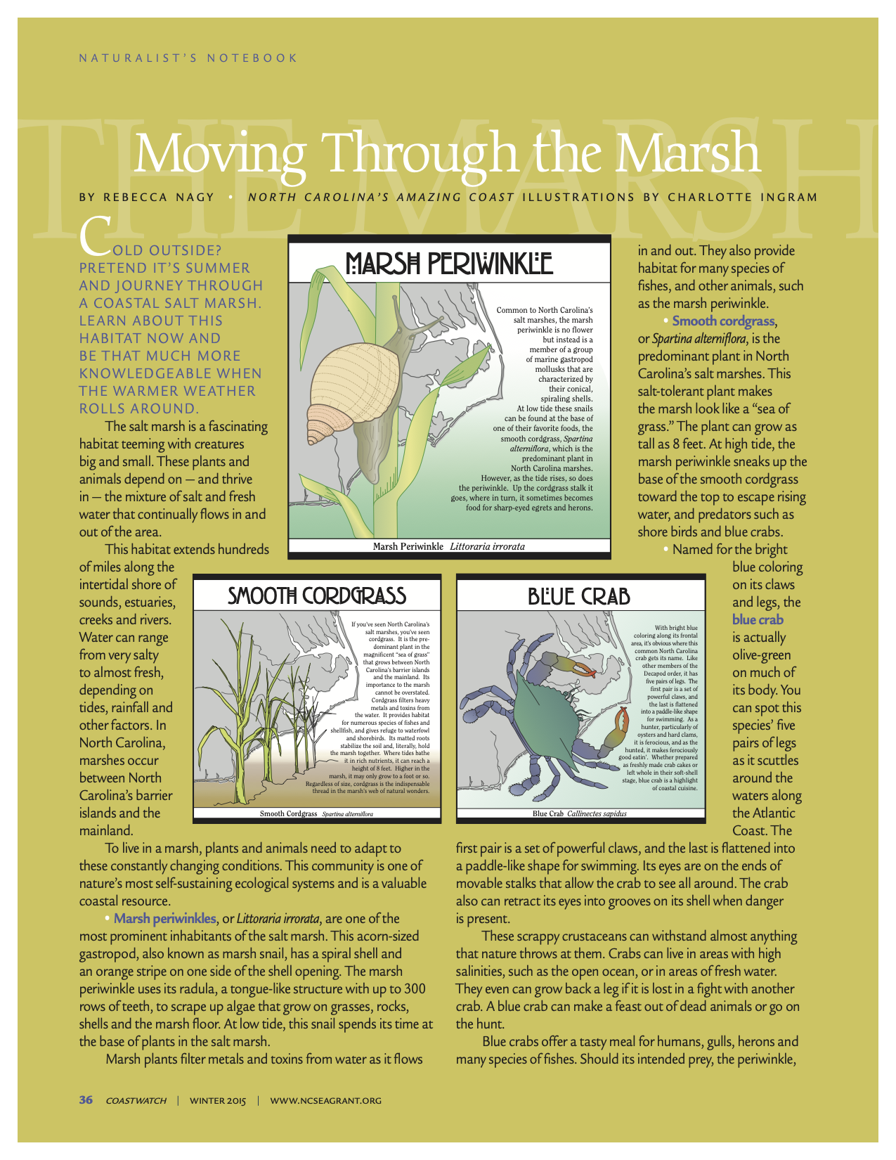 An image of the first page of the article "Moving Through the Marsh"