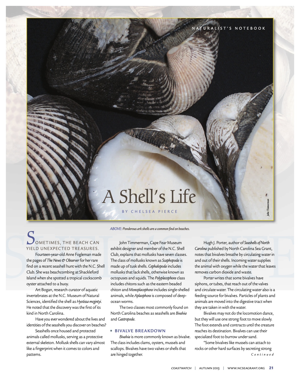 Image of the first page of the article "A Shell's Life"