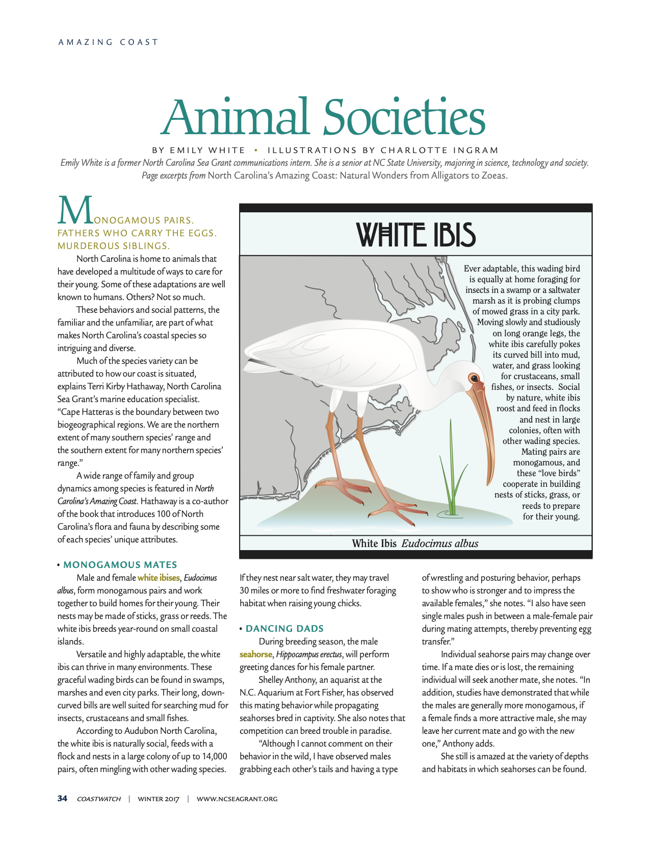 An image of the first page of the article "Animal Societies"