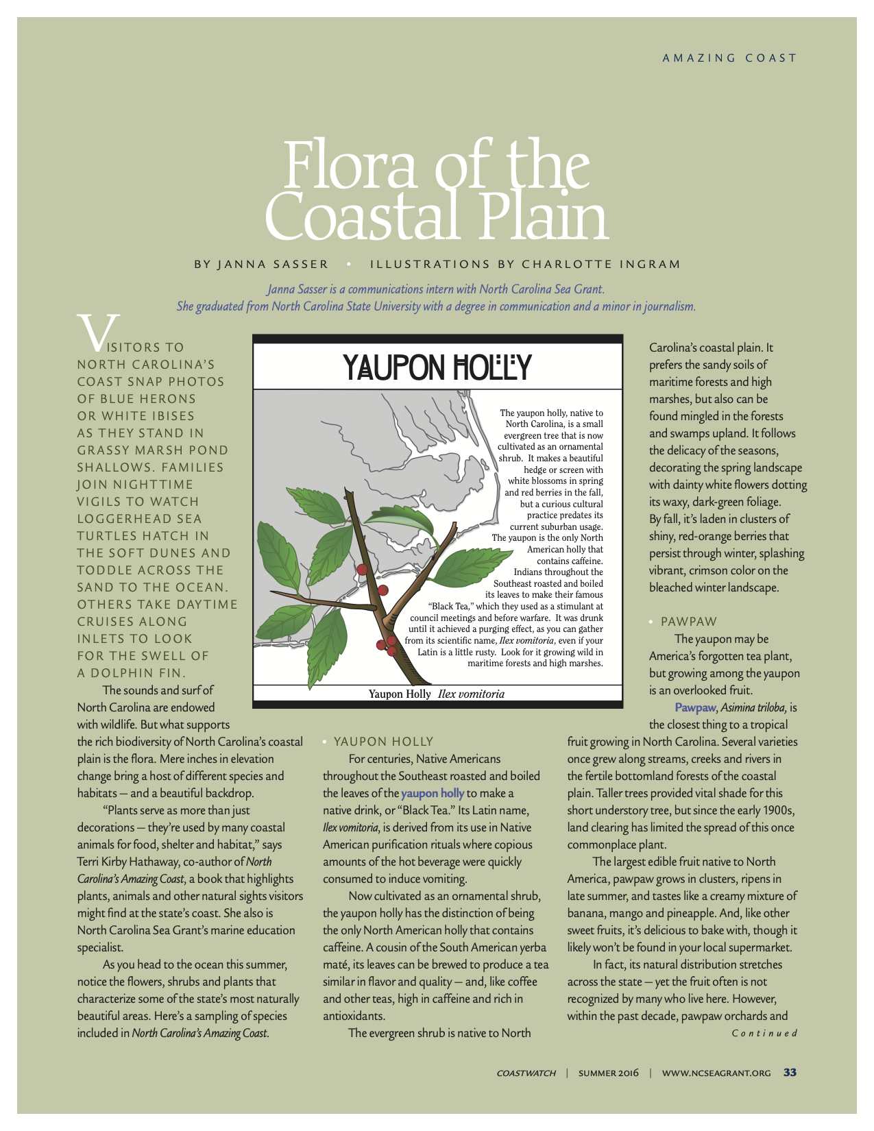An image of the first page of the article, "Flora of the Coastal Plain"