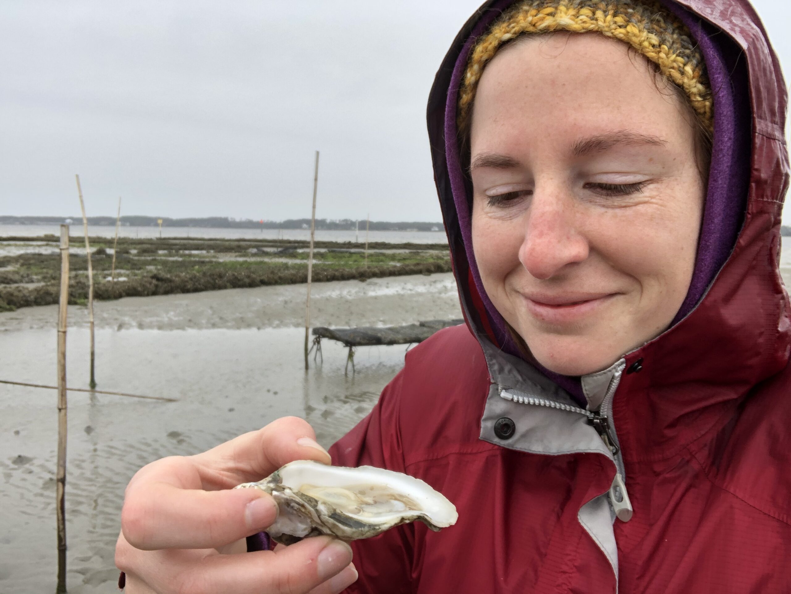 Jane Harrison of North Carolina Sea Grant inspects a local N.C. oyster. Photo by Whitney Knollenberg/NC State University