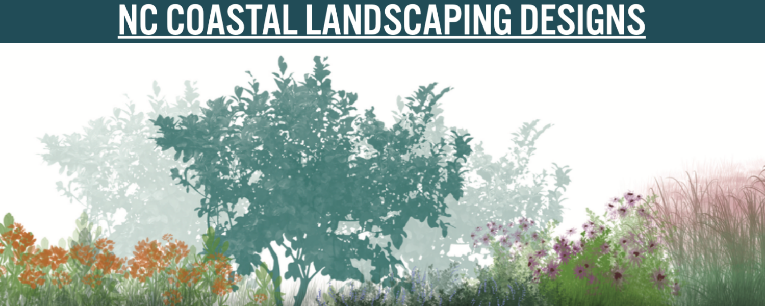 Image of NC Coastal Landscaping Designs title