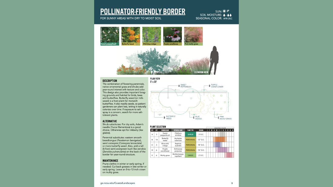 An example of the pollinator-friendly design template