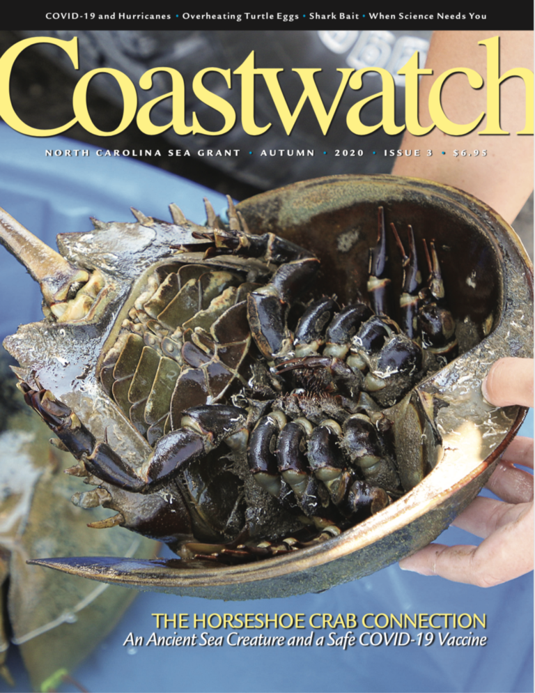 Coastwatch magazine front cover of a horseshoe crab, turned upside down